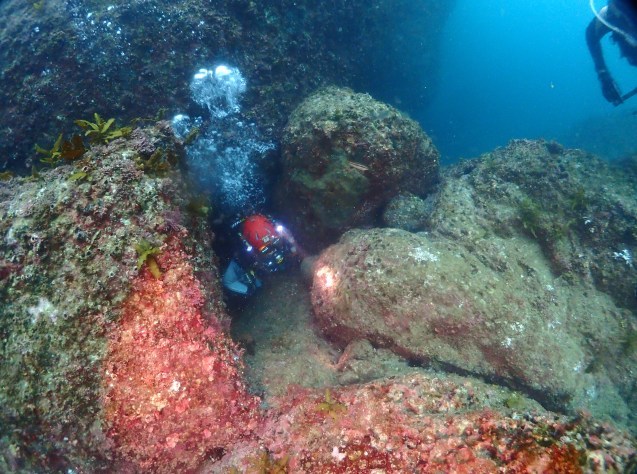 e0115199_14525365.jpg