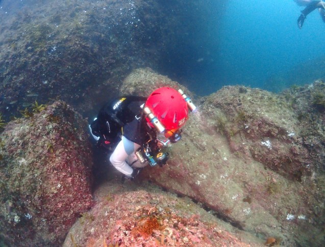 e0115199_14544935.jpg