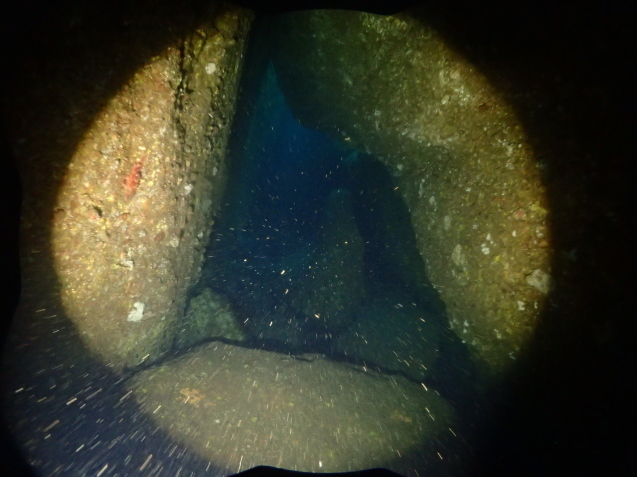 e0115199_14550770.jpg