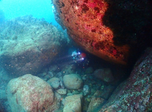 e0115199_14562650.jpg