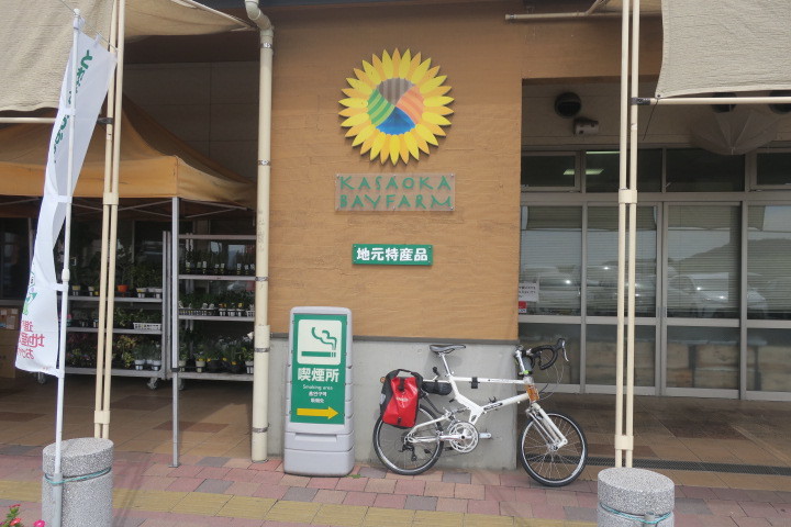 久々の休日は..._c0132901_19531853.jpg