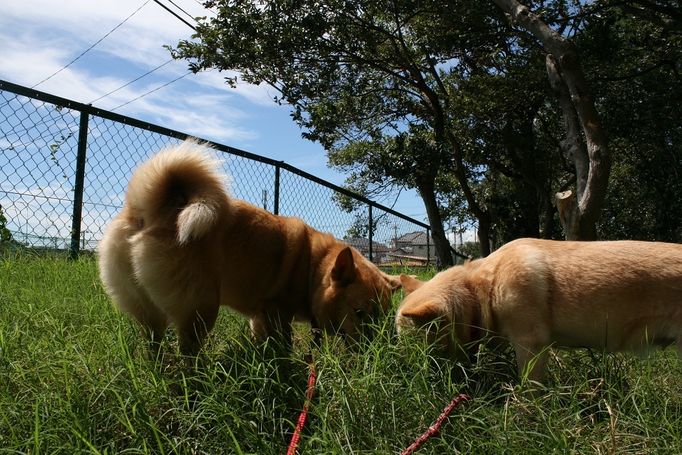 f0242002_20110234.jpg