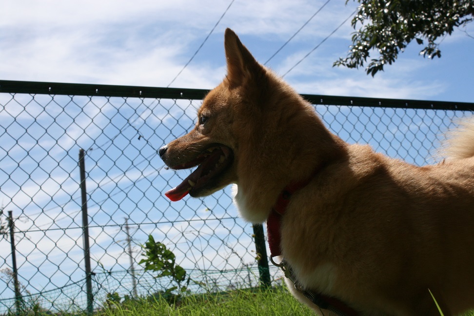 f0242002_20112439.jpg