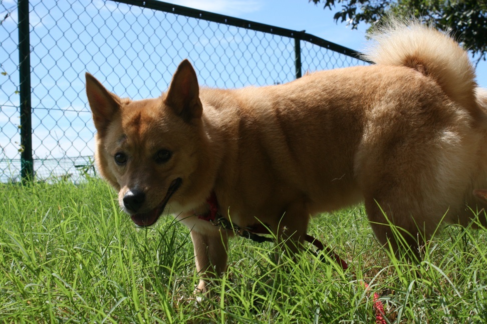 f0242002_20113563.jpg