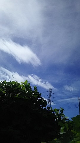 f0242002_20242288.jpg