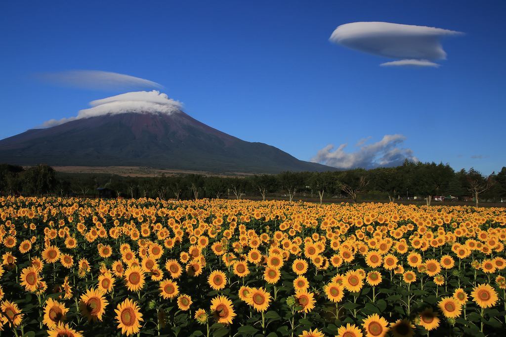 富士山の夏山シーズンが終了_a0188405_20233937.jpg