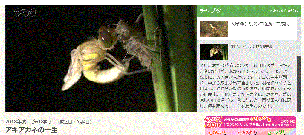 f0231709_09452240.gif