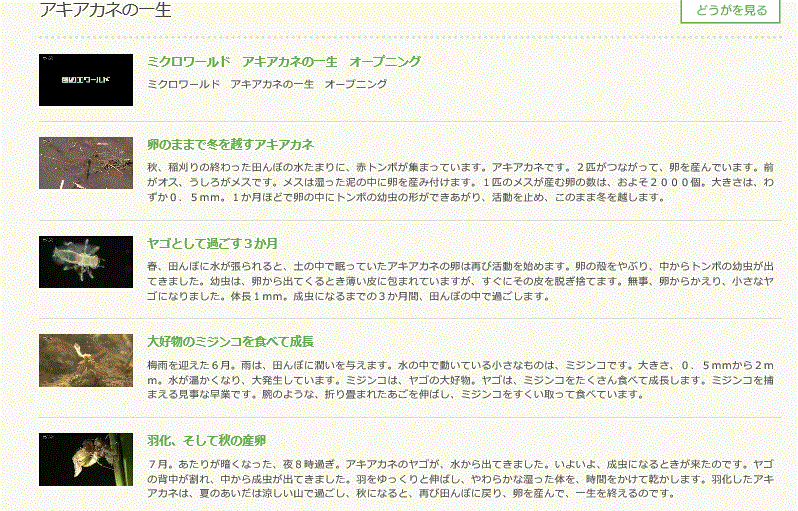 f0231709_11534967.gif