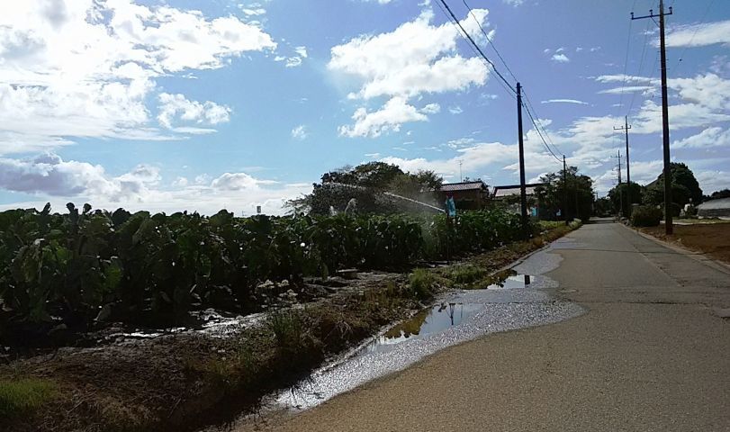 a0166324_14382929.jpg