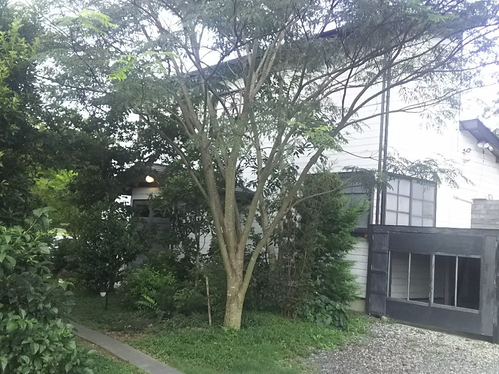 b0308627_23152306.jpg