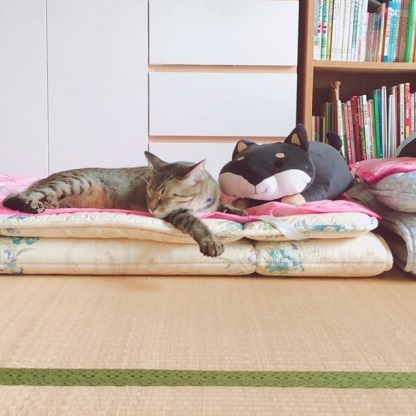 c0367433_14572718.jpeg