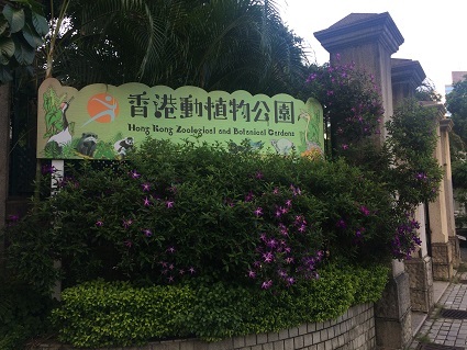 f0371533_22464567.jpg