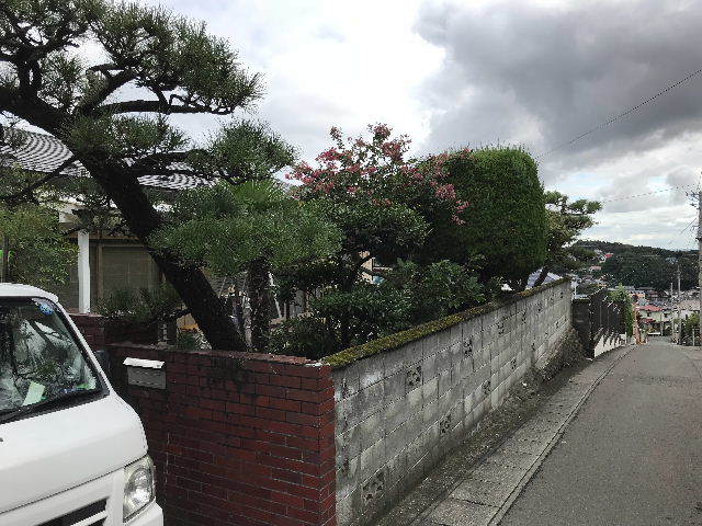 植木剪定作業_f0031037_20382809.jpg