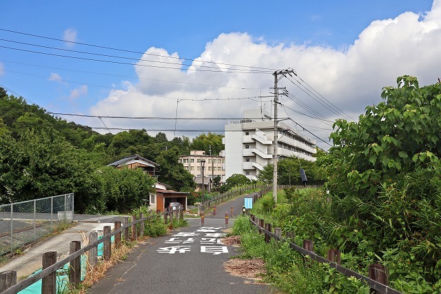 a0242438_20423109.jpg