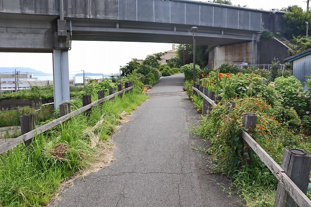 a0242438_20423169.jpg