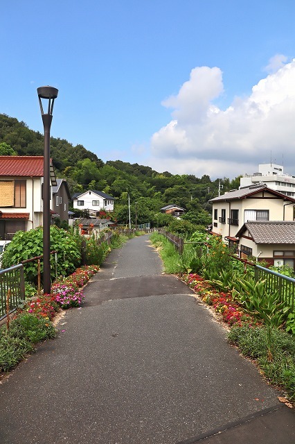 a0242438_20424500.jpg