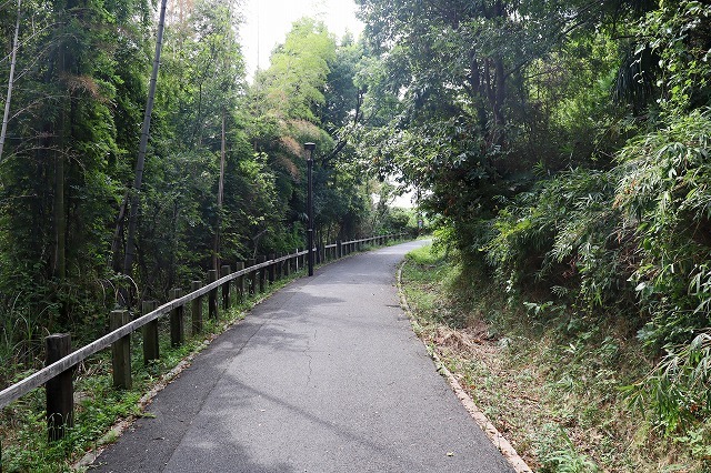a0242438_20424552.jpg