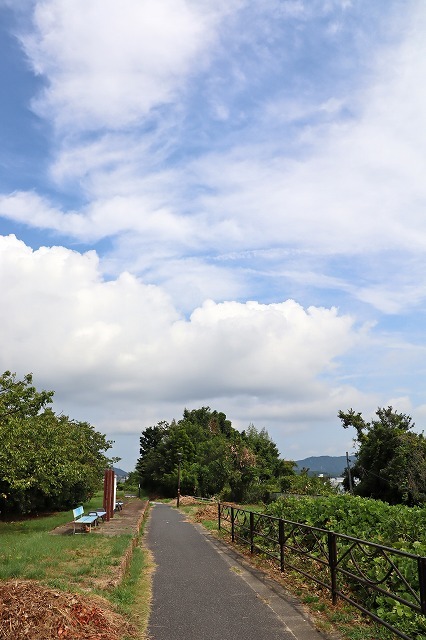 a0242438_20425909.jpg