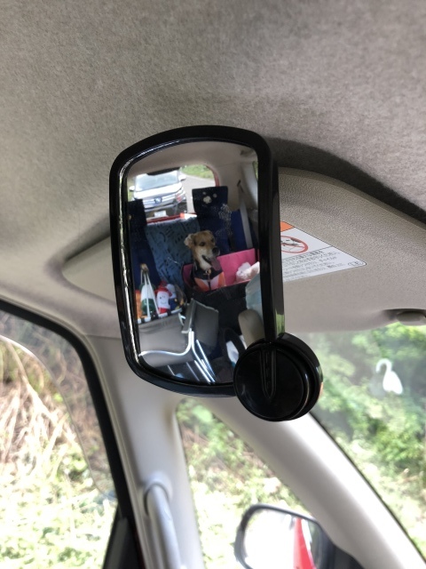 b0031538_23133108.jpeg