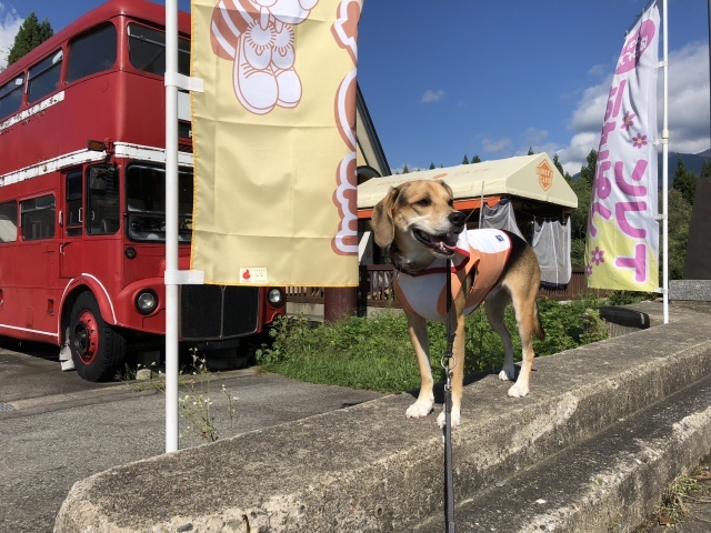 b0031538_23194242.jpeg