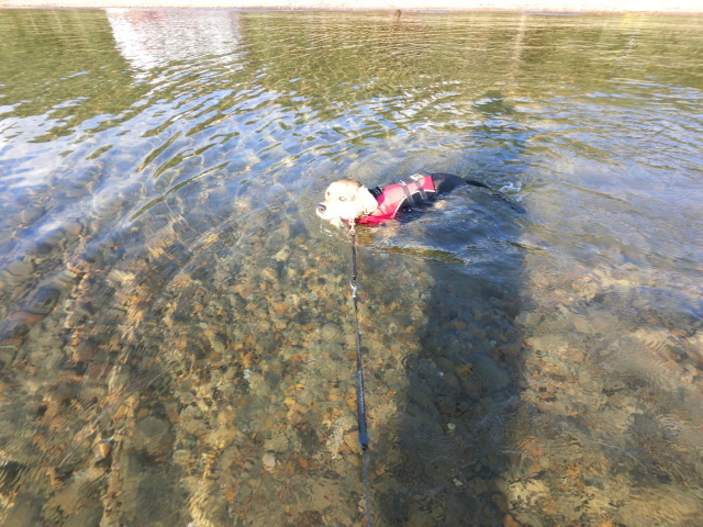 b0031538_23253257.jpeg