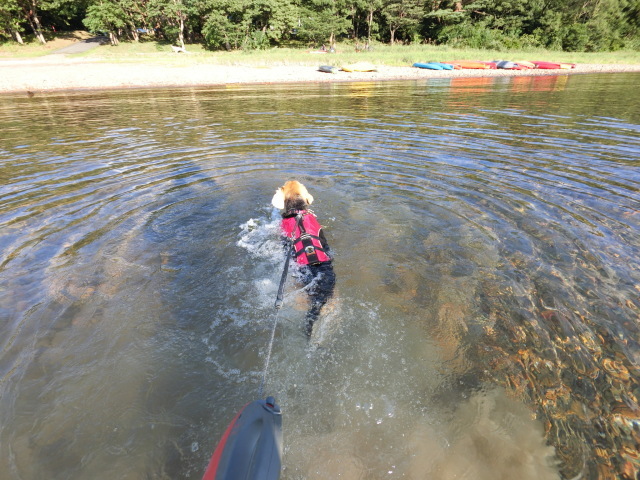 b0031538_23260145.jpeg