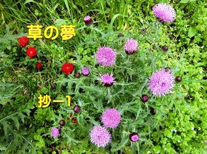 与謝野晶子第十八歌集【草の夢】抄－1 : Merrydiary