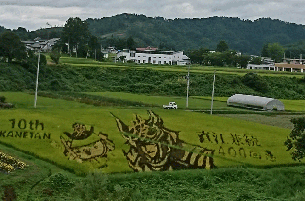 e0371039_16591566.gif