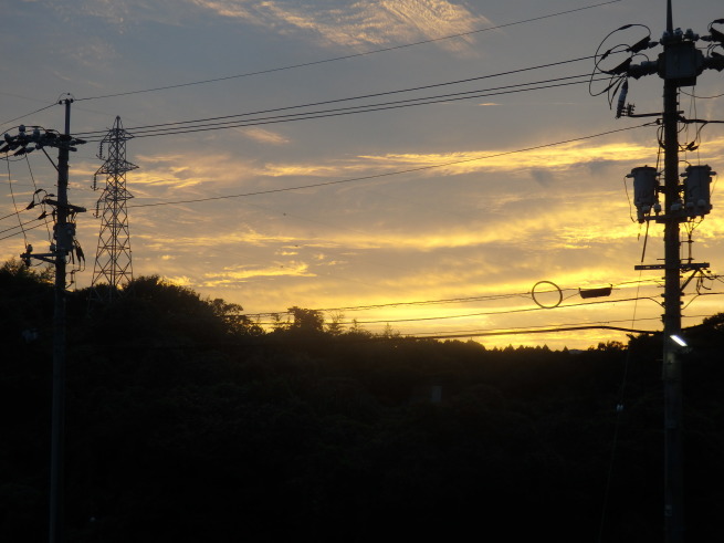 a0054240_22034252.jpg
