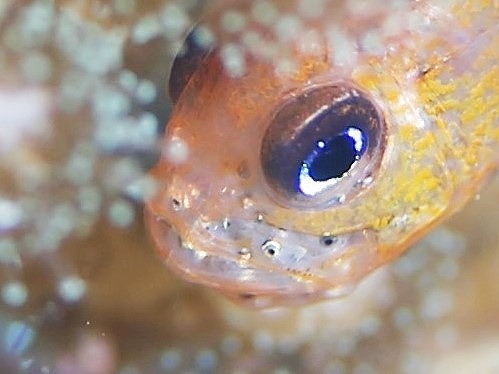 e0248740_10153961.jpg