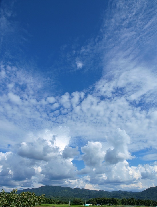 c0281841_14493255.jpg