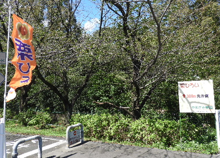 e0172950_19383585.jpg