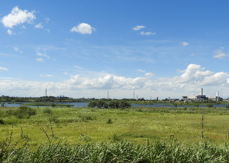 e0172950_19384552.jpg