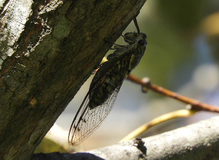 見沼自然公園で_e0172950_2011628.jpg