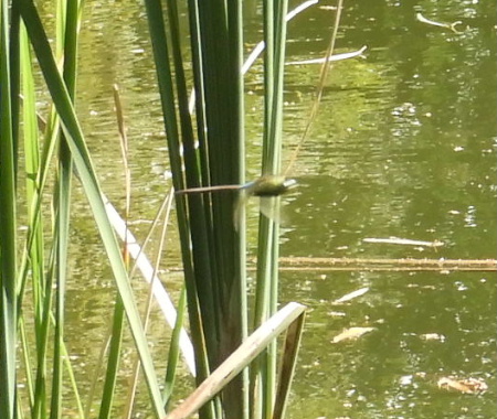 e0172950_2022994.jpg