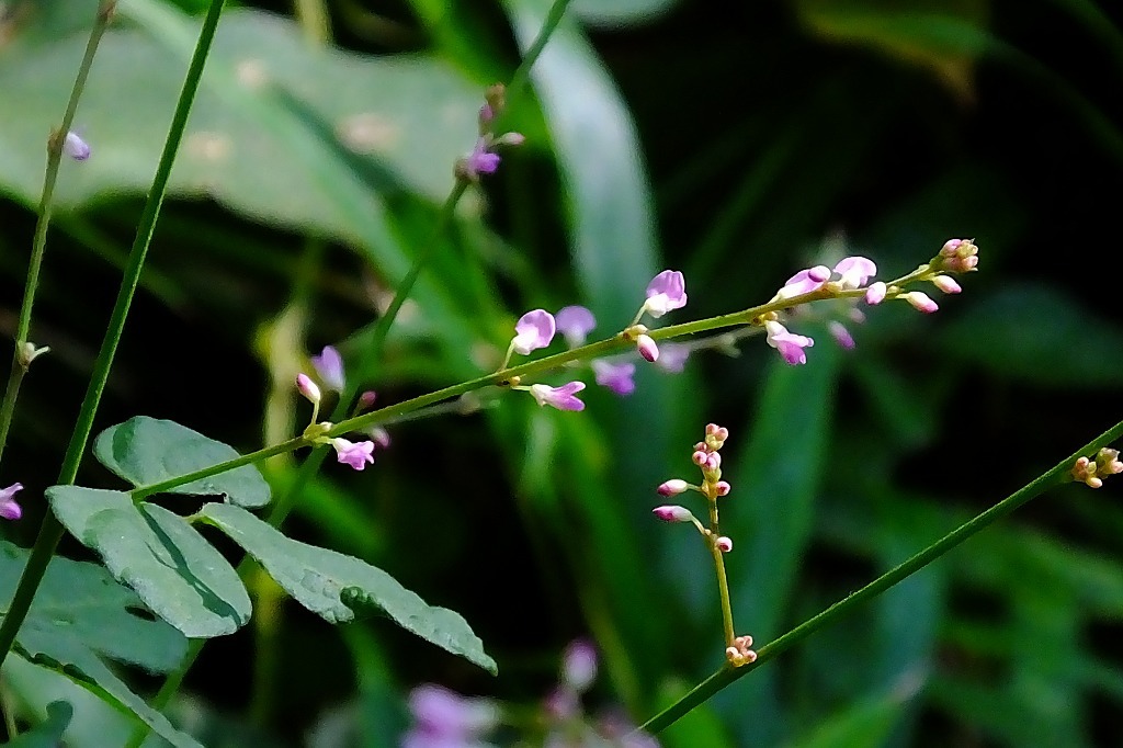 b0236251_11010803.jpg