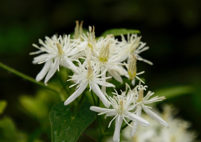 a0248459_15174136.jpg