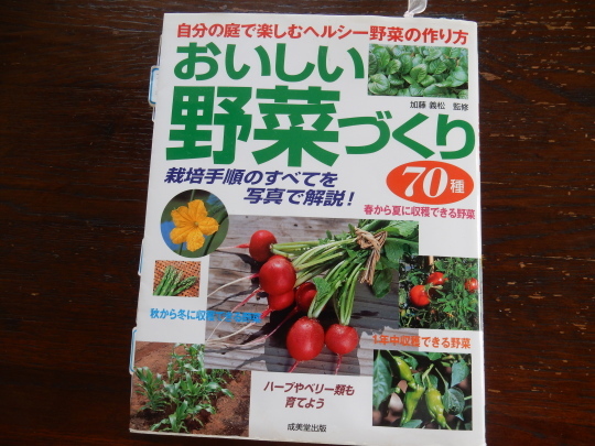’18,9,12(水)涼しくなったので庭仕事全開!_f0060461_18271401.jpg