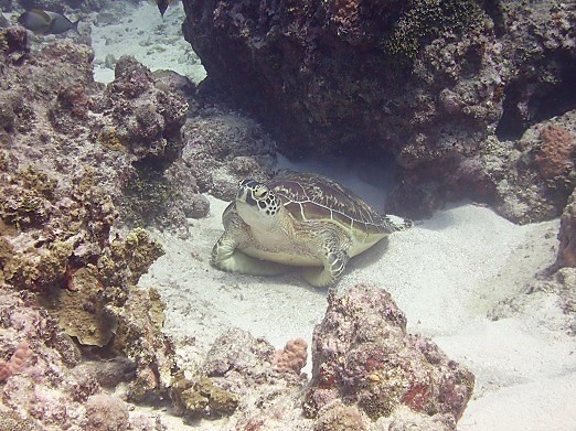 e0132965_12542826.jpg