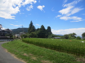 d0389166_21023966.jpg