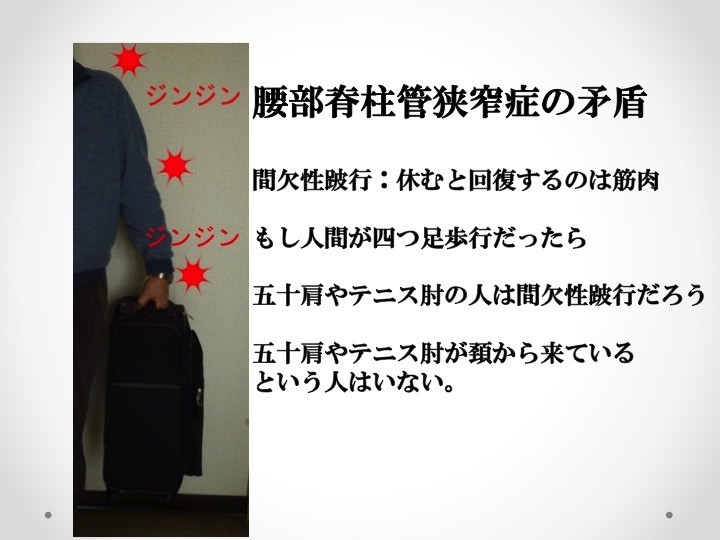「神経が圧迫を受けると痛みやしびれが生じる」という誤った考え_b0052170_18025488.jpg