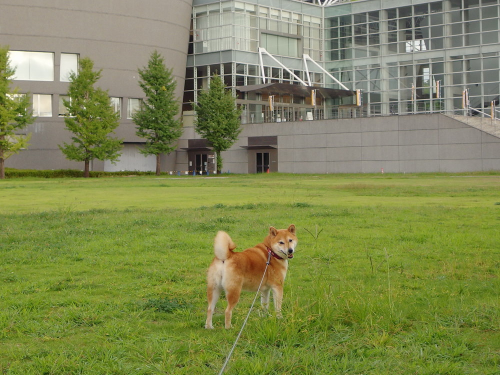 b0088173_07470141.jpg