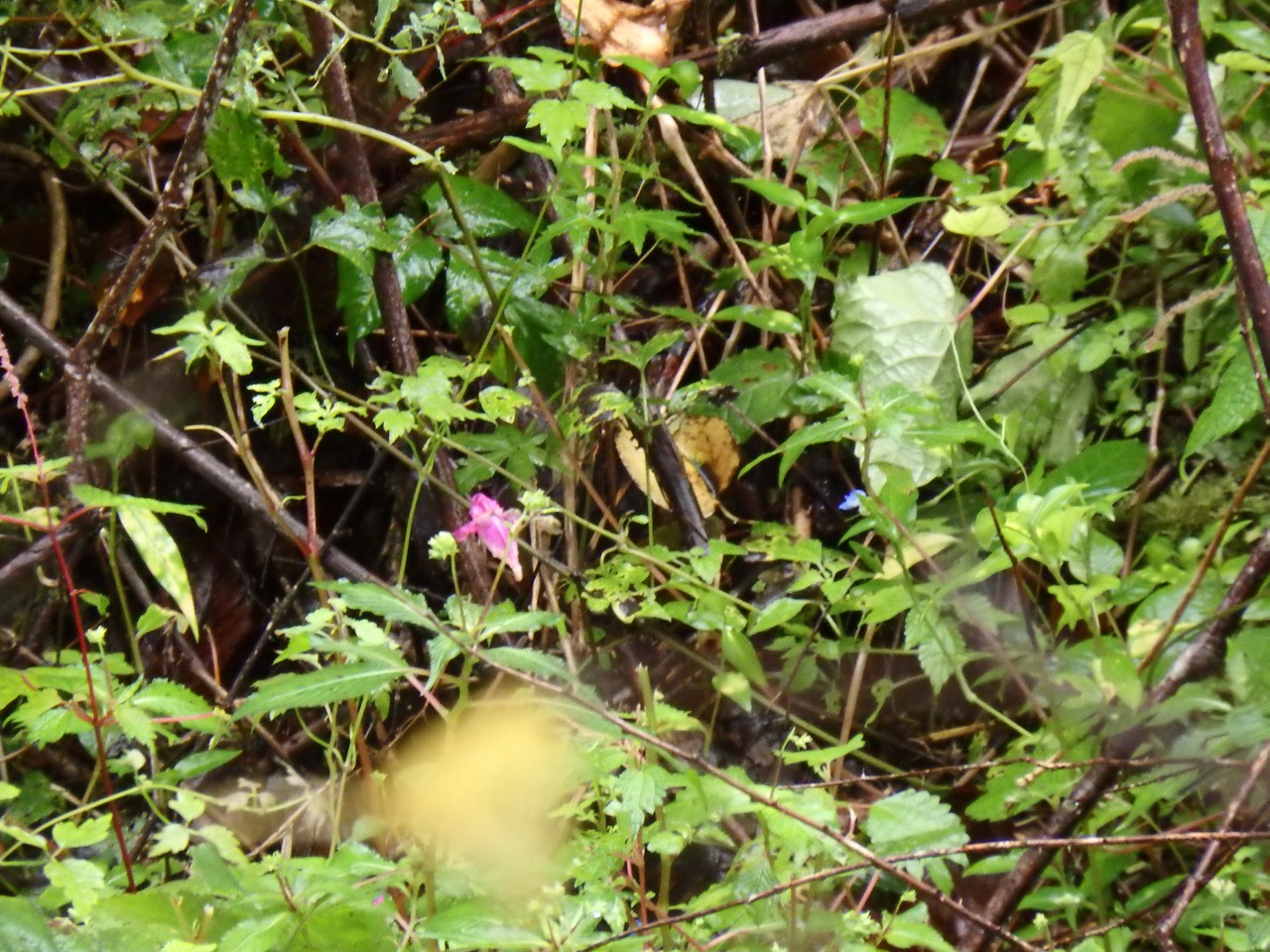 d0054276_20165793.jpg