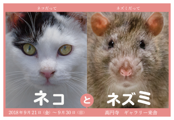 写真展『ネコとネズミ』_e0123176_22283961.png