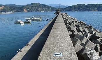 f0003283_07595389.jpg