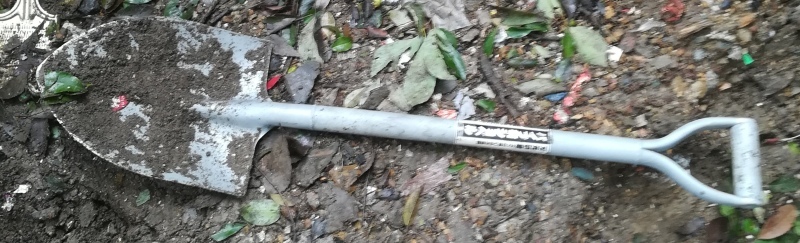 e0362685_17580140.jpg