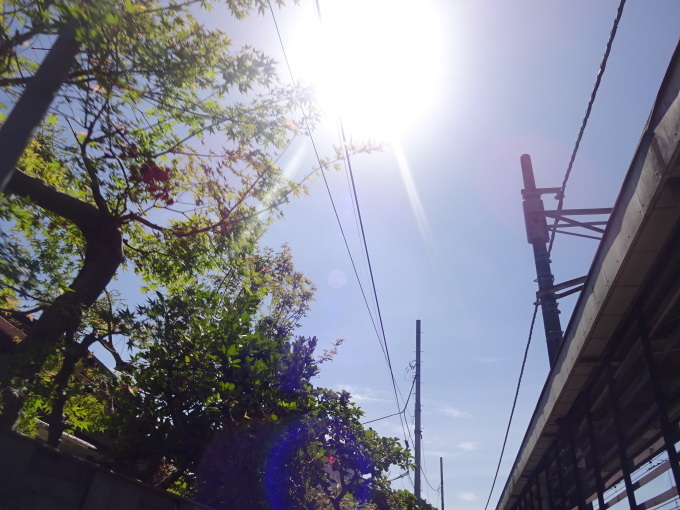 旅に出たい_b0210688_17253350.jpg