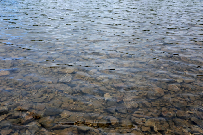 b0339488_22472631.jpg