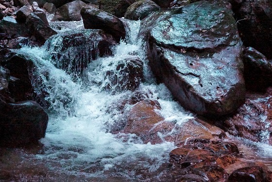e0176993_10211516.jpg