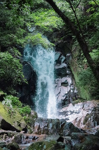 e0176993_10211616.jpg